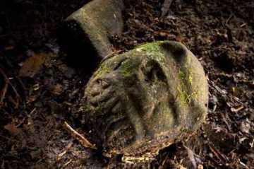 হারিয়ে যাওয়া শহরের হদিস হন্ডুরাসে